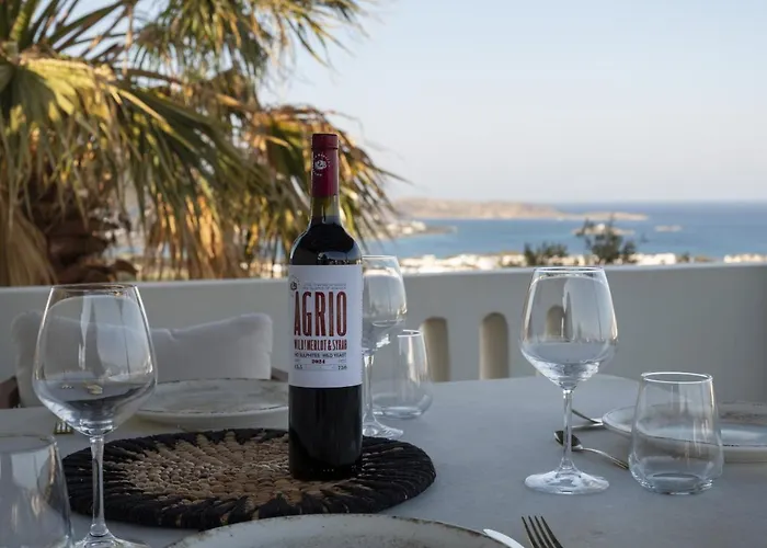 Yema House - Naoussa Bay Country house *